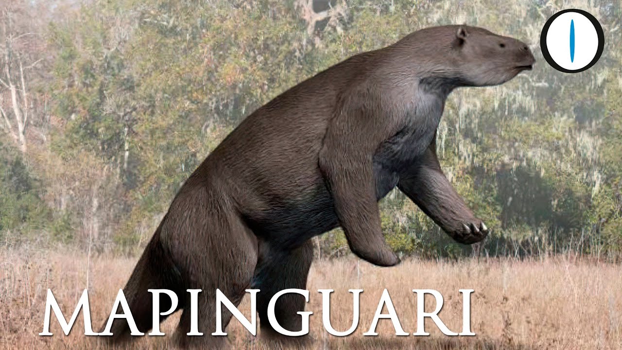 Il mistero del MAPINGUARI
