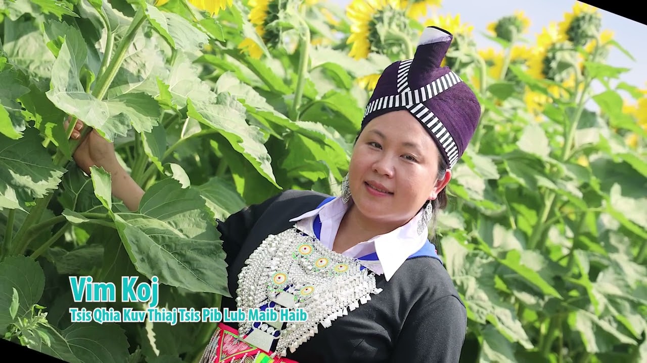 Vim Koj Tsis Qhia Kuv Thiaj Tsis Pib Lub Maib Haib. 9/23/2024