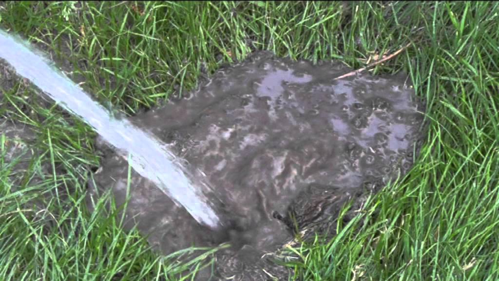Mol verwijderen uit de tuin - Radio Mozaiek
