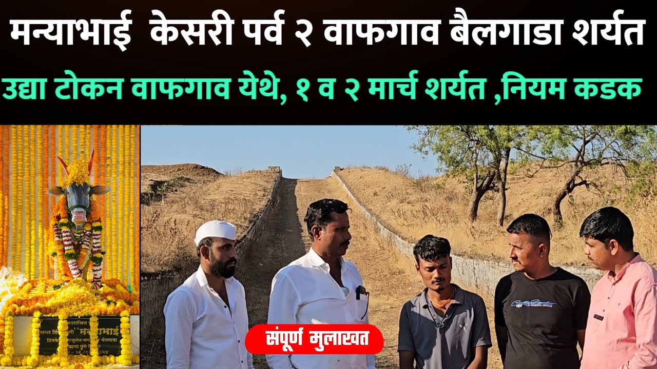 वाफगाव बैलगाडा शर्यत मन्याभाई केसरी पर्व २ बैलगाडा घाटाचा आढावा मुलाखत ! bailgada sharyat 