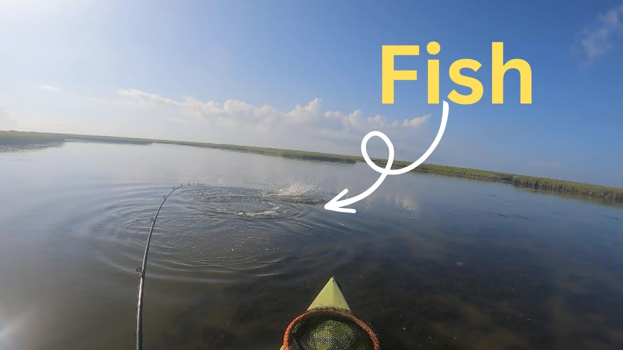 Redfish Blowups An Arms Reach Away !! | East Matagorda Bay Fishing | Texas Saltwater Kayak Fishing |