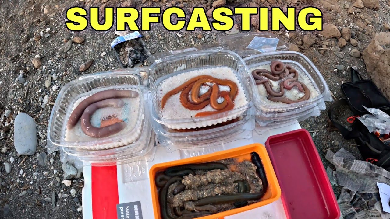 CADA UNO CON UN CEBO DIFERENTE TODA LA NOCHE DE PESCA, SURFCASTING GRANADA