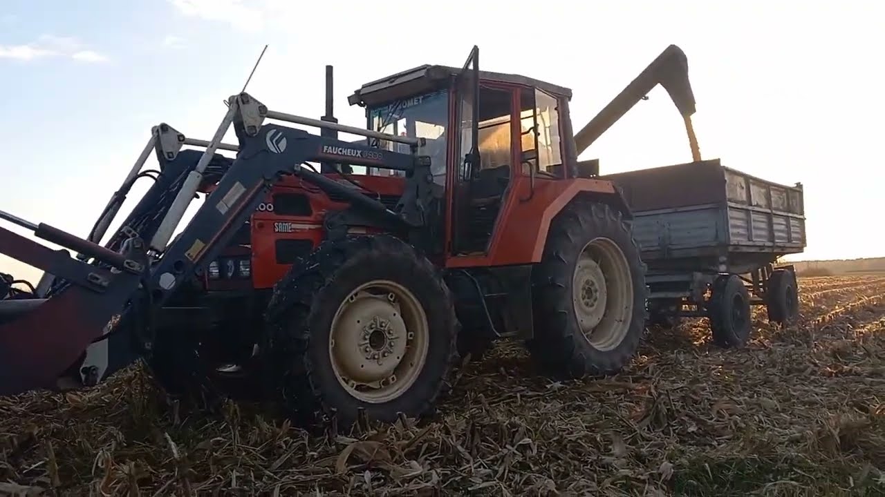 🔥Kukurydza na ziarno 2k22🔥Claas medion 310 i same laser 100 w akcji 😈Medion na ful obrotach😈