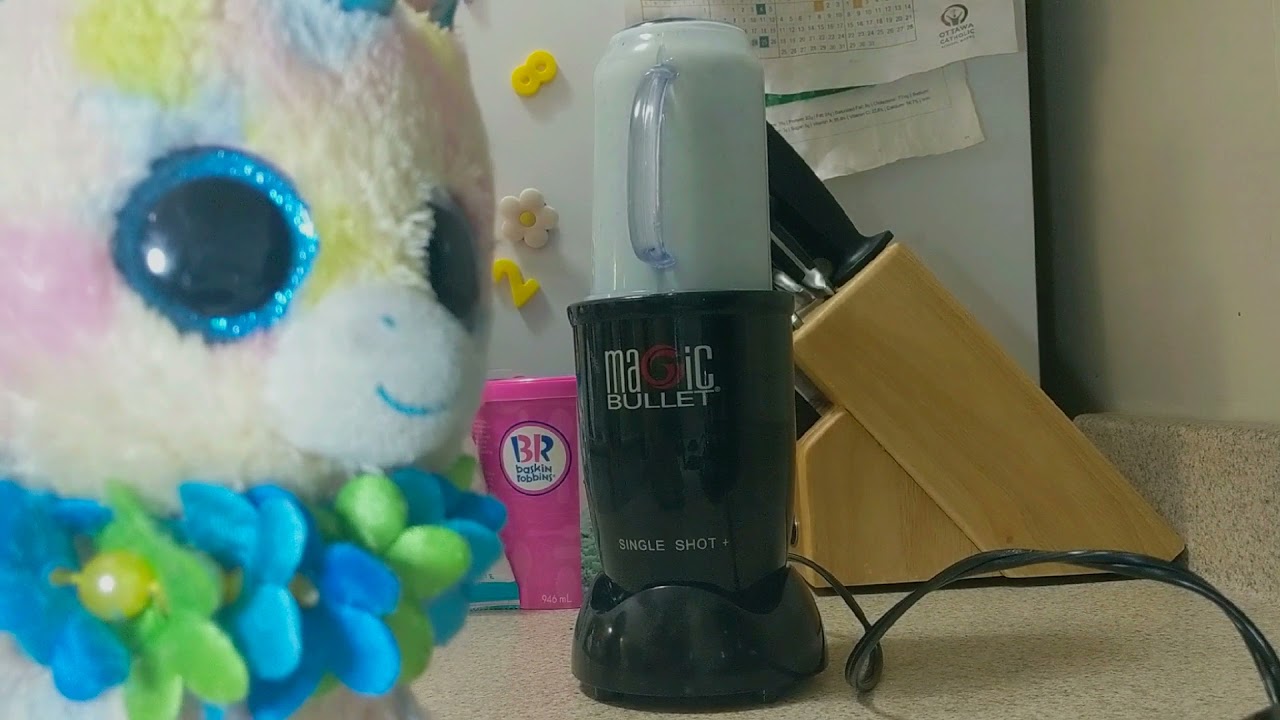 Magic Bullet Review With Blitz