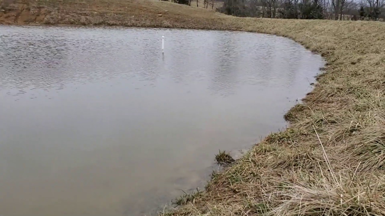 Perfect new pond built with the right amount of watershed feeding it.