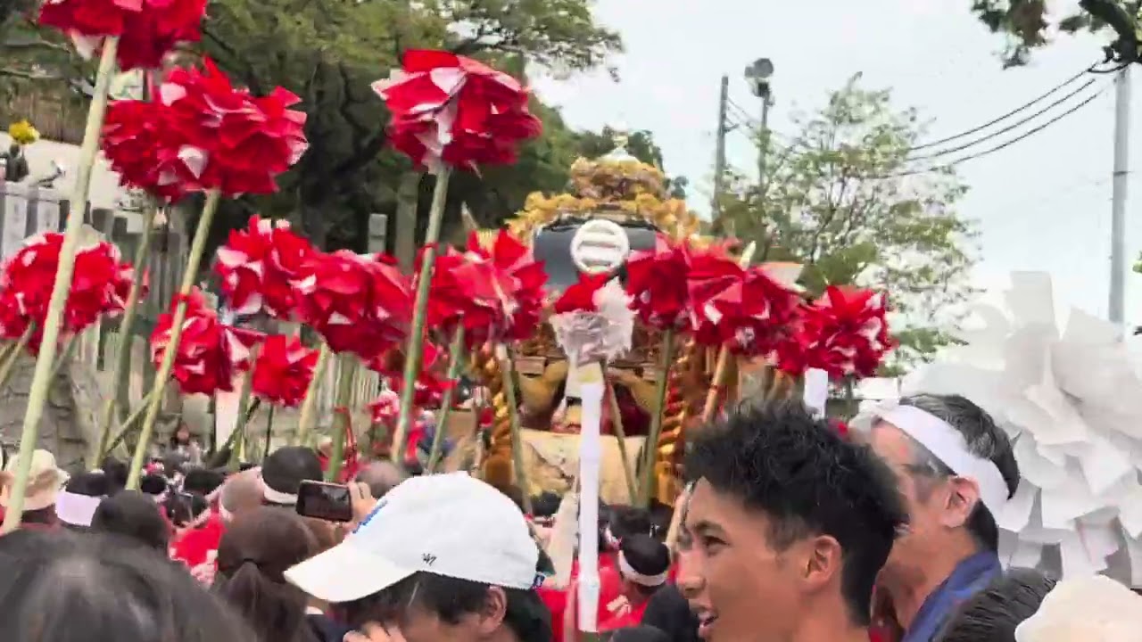 播州秋祭り荒川神社小芋祭り！2025.10.19本宮！岡田⇒宮入！からの岡田＆玉手