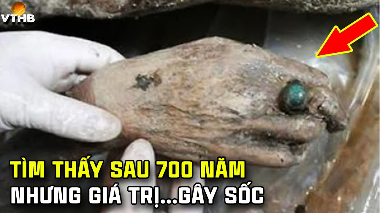 🔴 [Full] Những Phát Hiện Khảo Cổ Kinh Hoàng Trên Thế Giới Bạn Phải Xem Nếu Không Khó Mà Tin Được
