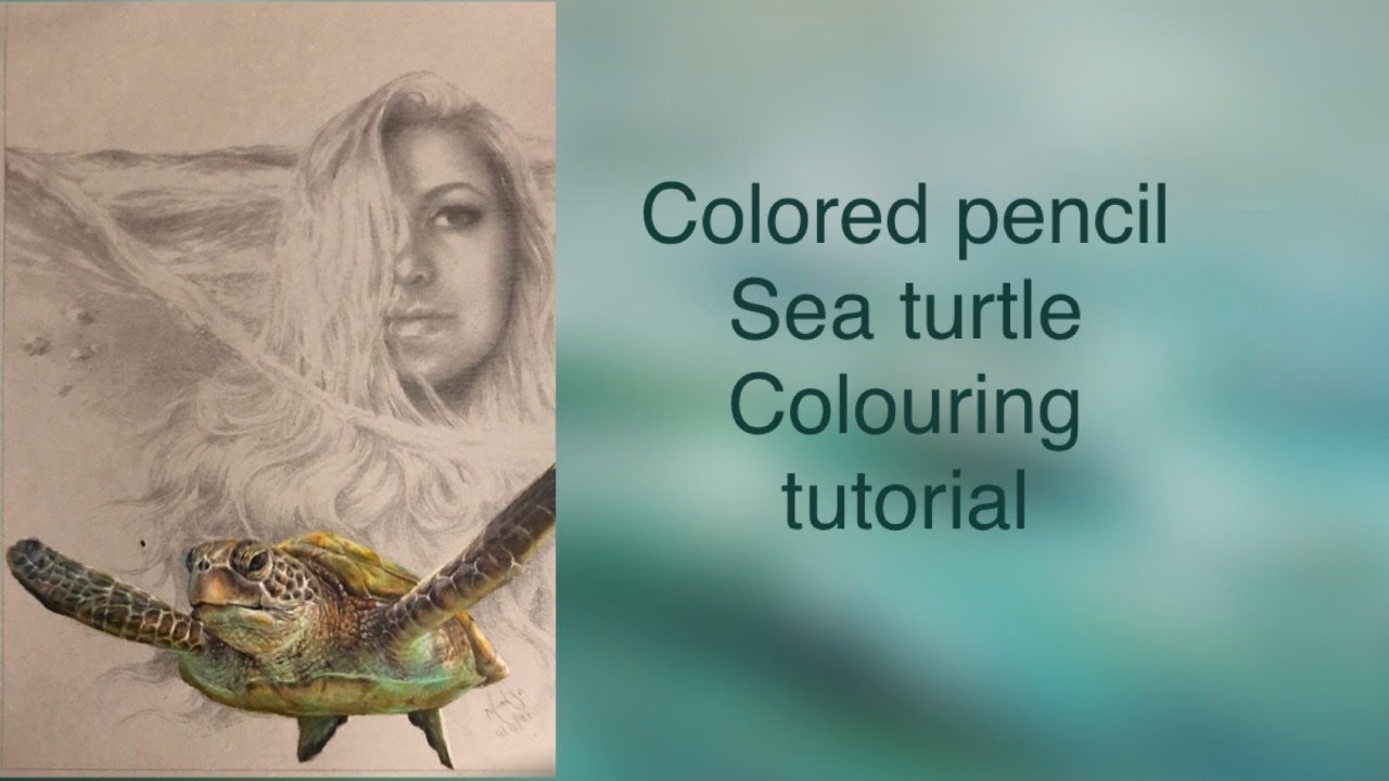 Colored pencil sea turtle coloring tutorial (Part 1)