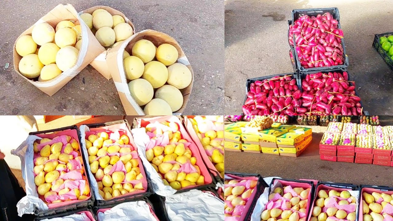 جوله في سوق الجمله ٦ اكتوبر بأنواع الفاكهه واسعارها