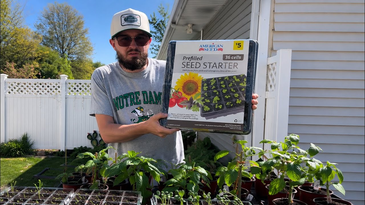 Dollar General Seed Starter Review