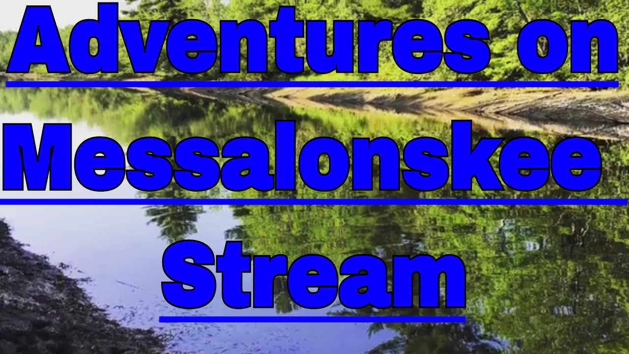 Exploring The Messalonskee Stream