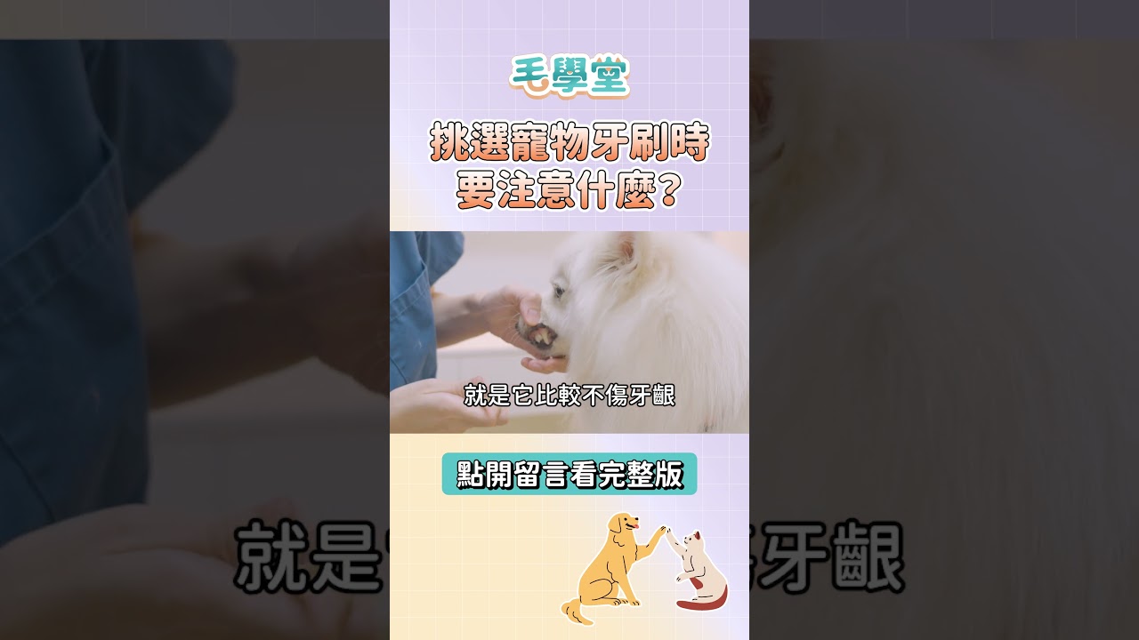 挑選寵物牙刷時要注意什麼？#毛學堂 #禾芮犬貓專科醫院 #鍾佳靜
