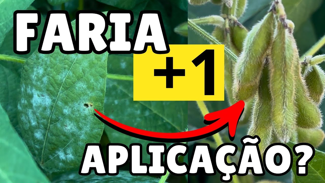 +1 APLICA&Ccedil;&Atilde;O NA TITANIUM? Aqui resolvemos n&atilde;o aplicar&hellip;