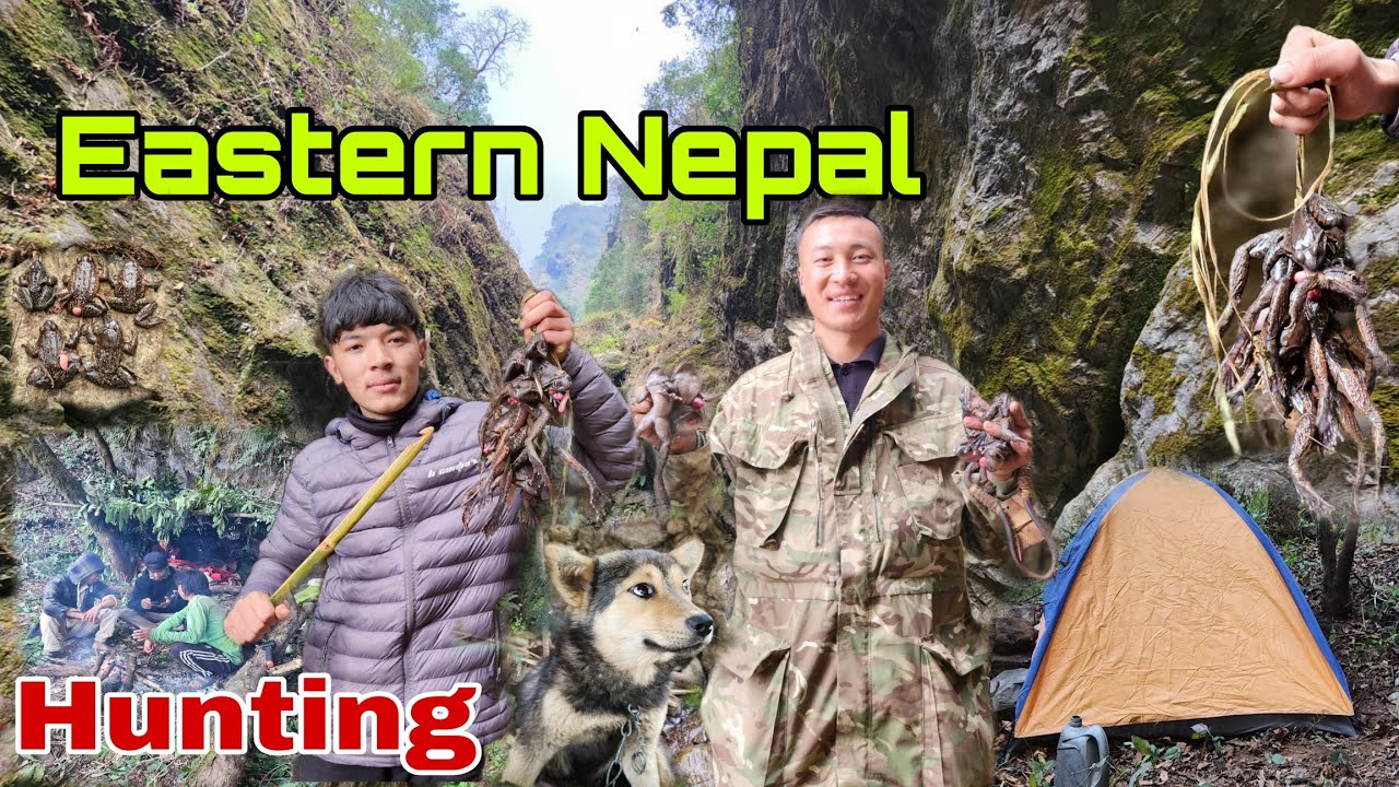 पहाडको टाकुरामा पाहा सिकार गर्दै | Paha Hunting Eastern Nepal @Nischalvlog1