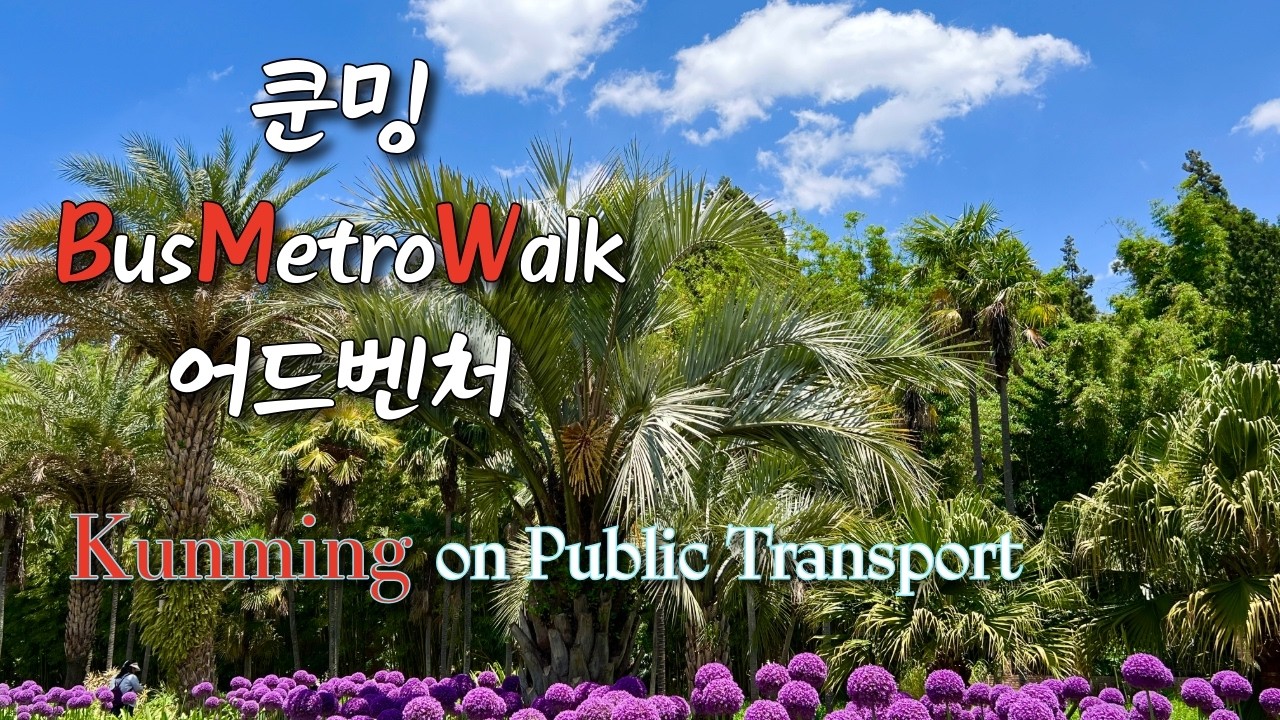 중국 쿤밍의 일상 풍경 / 버스와 지하철 타고 시내 구경 Kunming Daily Sights / on public buses & metro