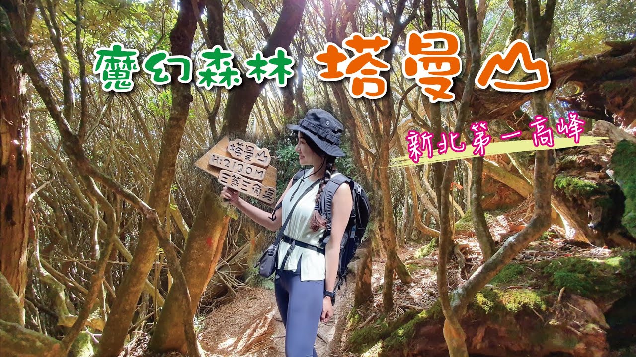 塔曼山~超美的魔幻森林｜新北第一高峰｜絕美的森林秘境～一不小心會迷路唷～
