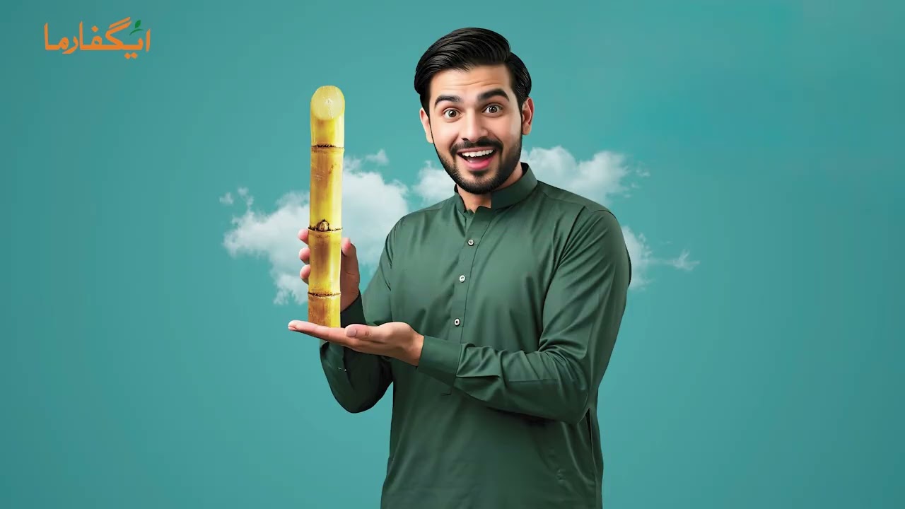 Alcon Super | Sugarcane | Agriculture | Pakistan |