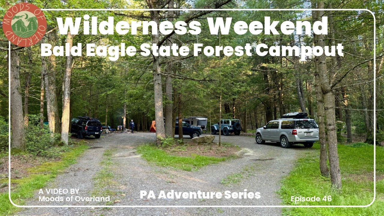 За кулисами: поход в государственный лес Bald Eagle State Forest