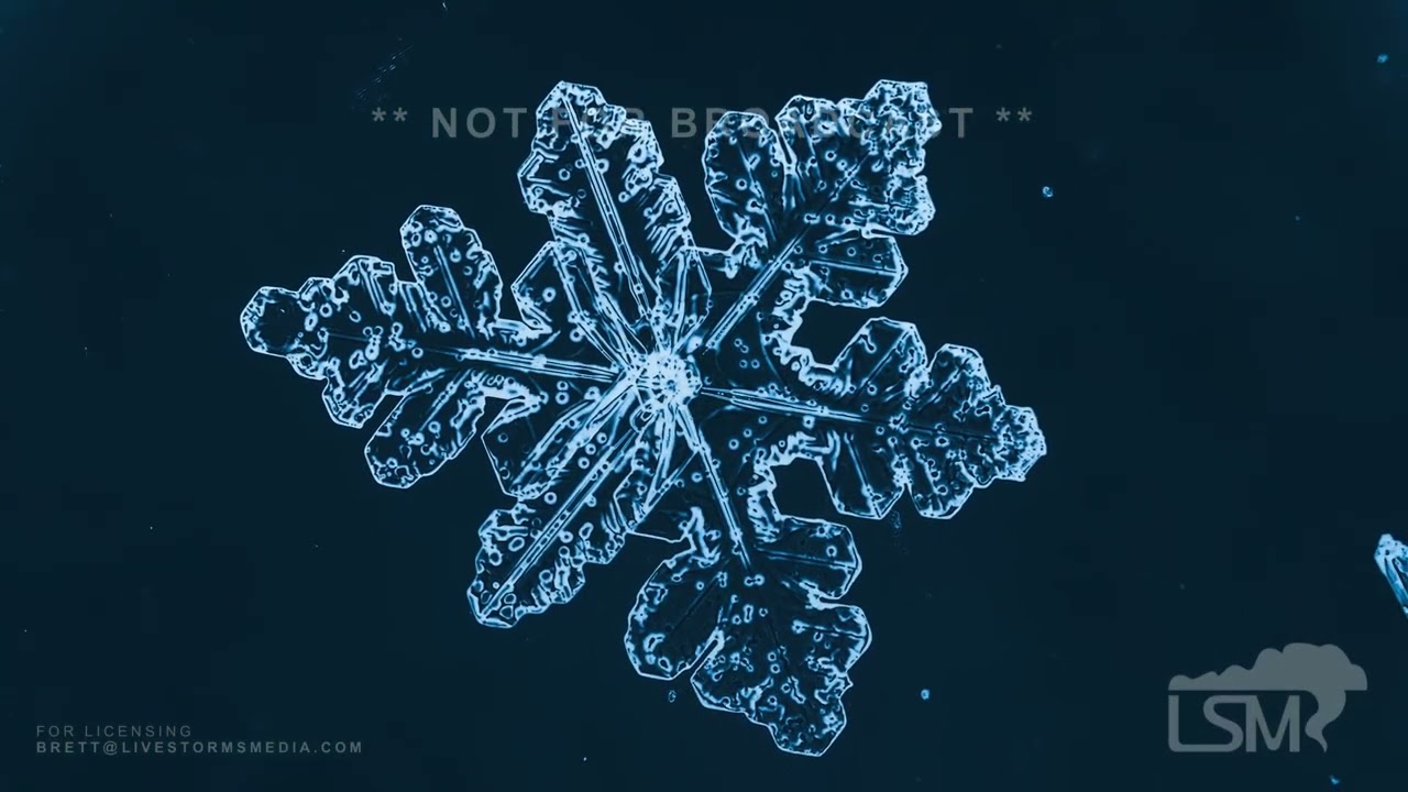 01-31-2026 Rapid City, SD - Arctic Air Brings Beautiful Ice Crystals