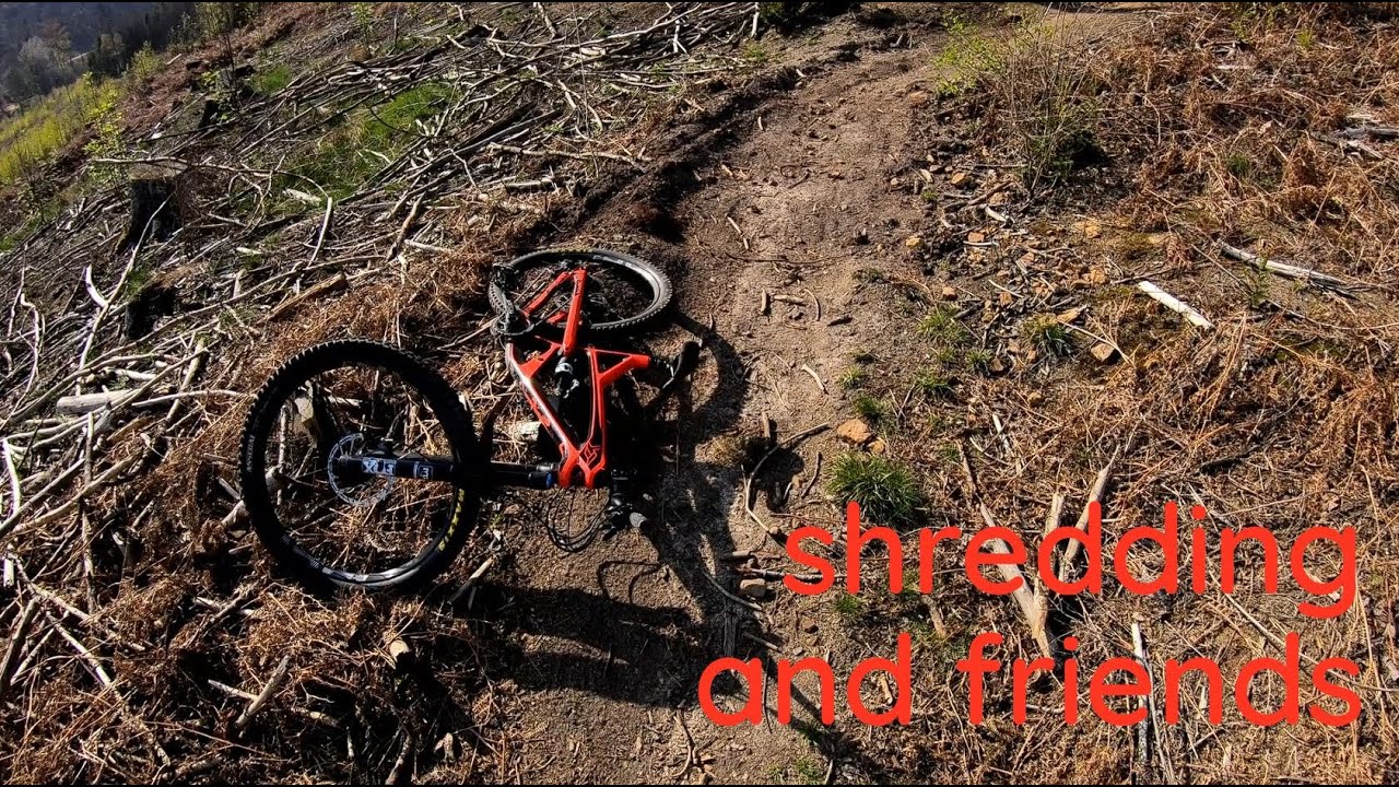 Mit Freunden im Wald shredden