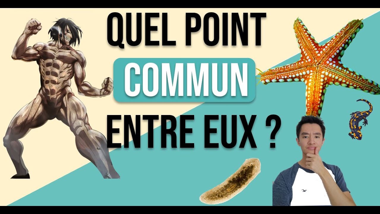 Attaque des Titans (SNK) : Comment fonctionne la régénération des organes dans la vraie vie ?
