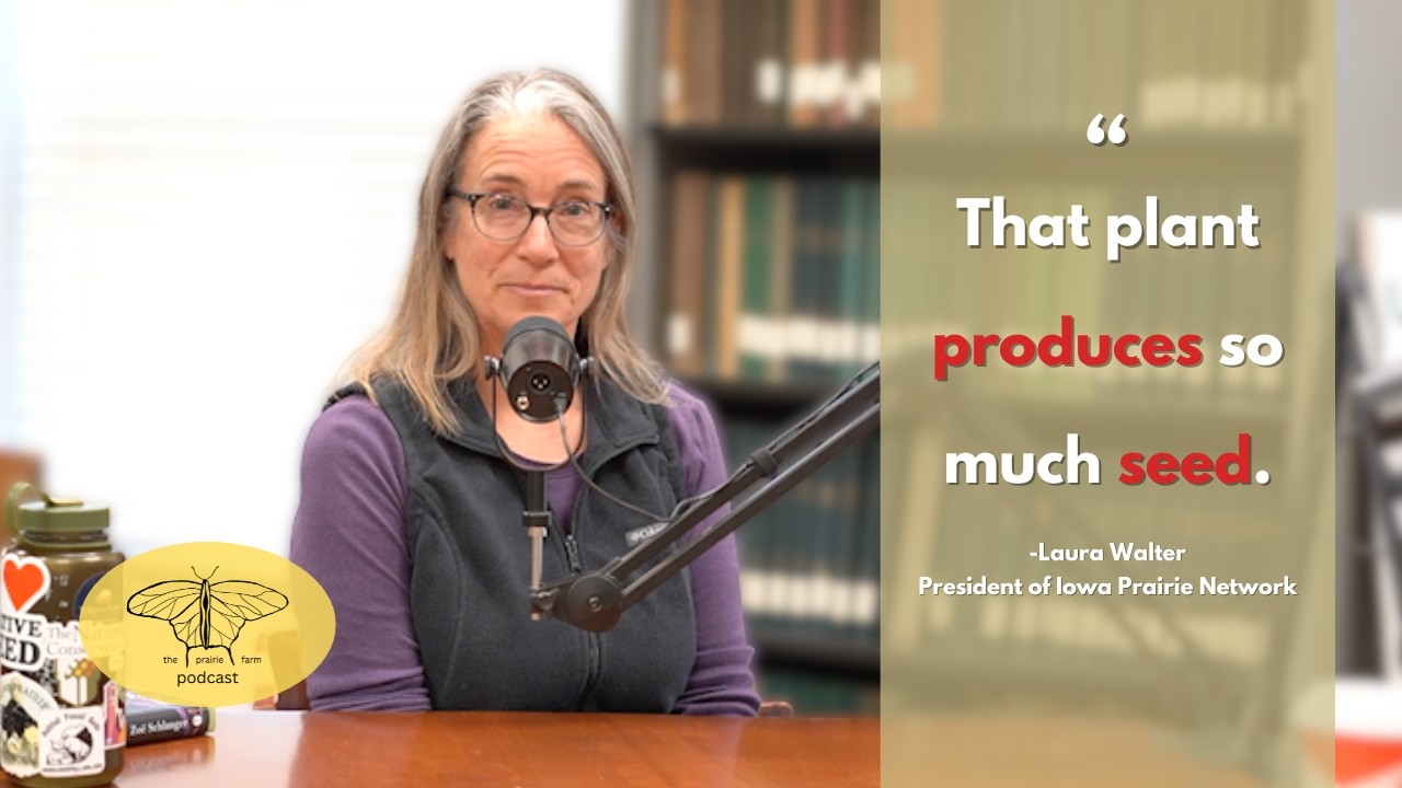 Ep. 332 Which Prairie Species to Grow If You Want to Start a Prairie Farm