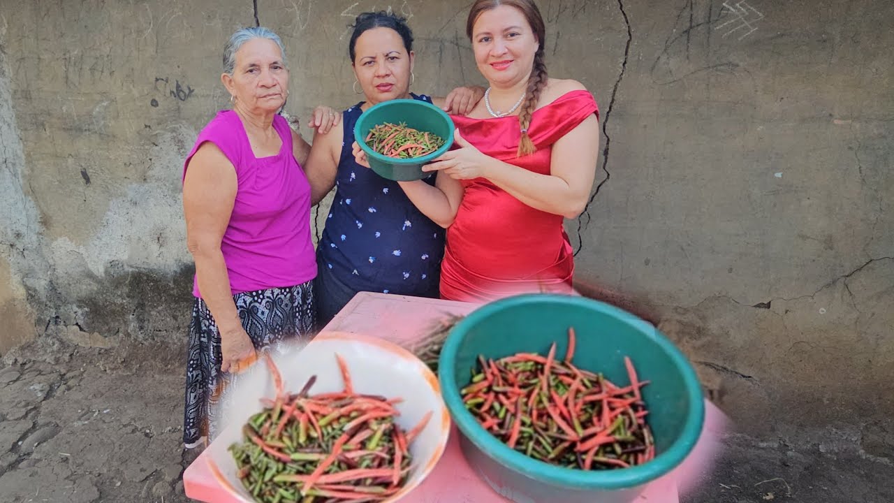  pitos asi se limpian con 2 dolares comeremos toda la familia 