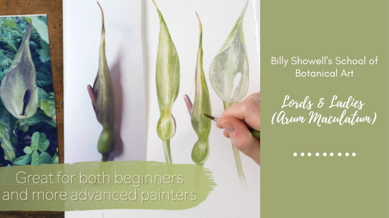 Lords & Ladies (arum maculatum) - Preview with Billy Showell ⎮Watercolour Beautiful