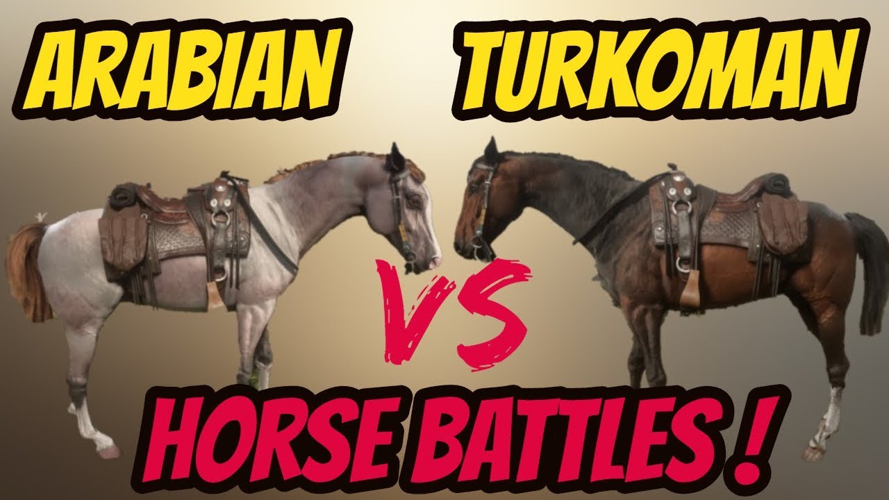Turkoman VS Arabian ! Horse Battles! Red Dead Redemption 2!