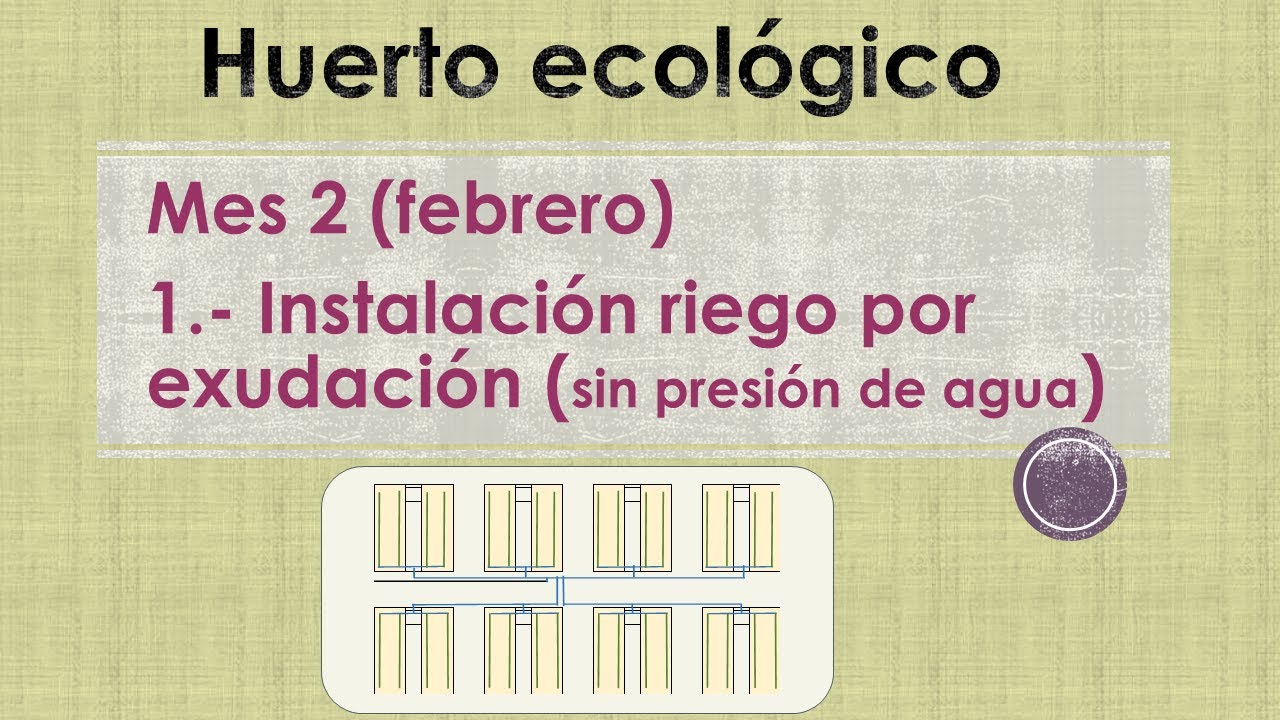 Instalar riego por exudación (sin presión de agua). Huerto ecológico