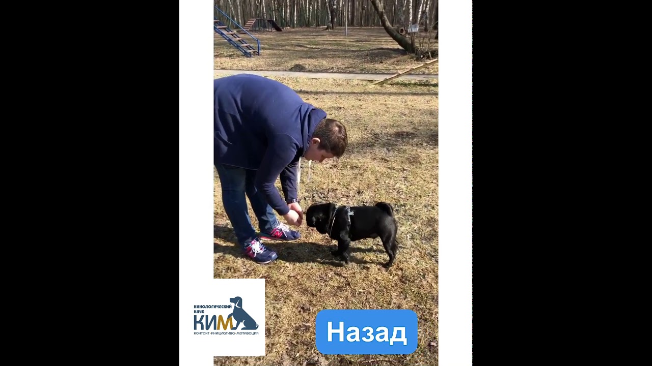 Команда Назад