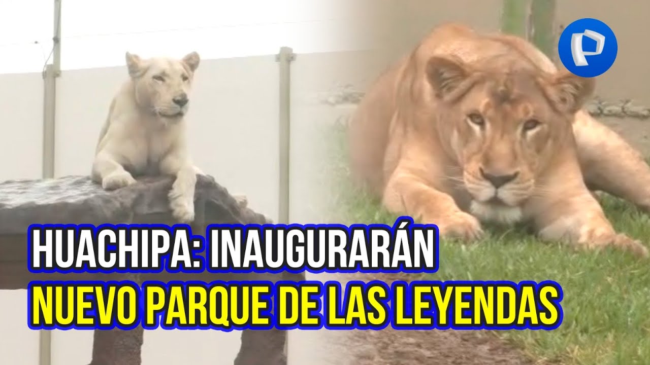 Huachipa: realizan refacciones en Parque las Leyendas y reabrían sus puertas en dos semanas (1/2)