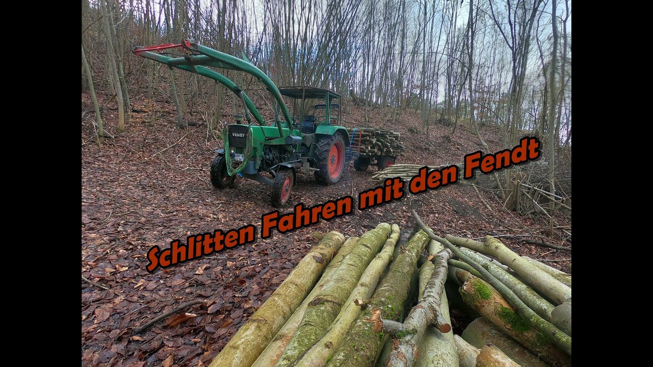 Brennholz holen | Schlitten fahren  | Grüner Wolf Kanal