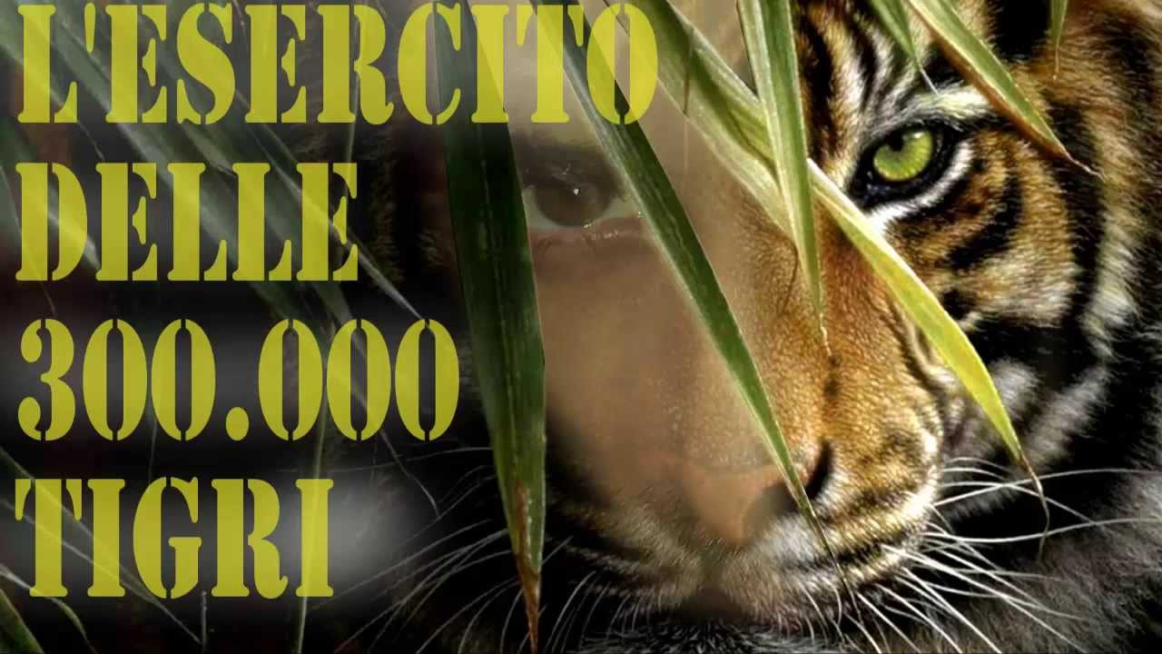 (300k) L'ESERCITO DELLE 300.000 TIGRI - Official song