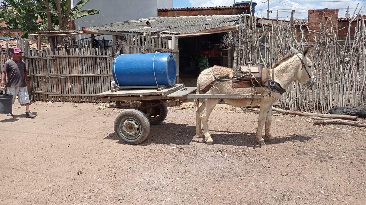seca no nordeste- carroça de burro pipa no combate a seca