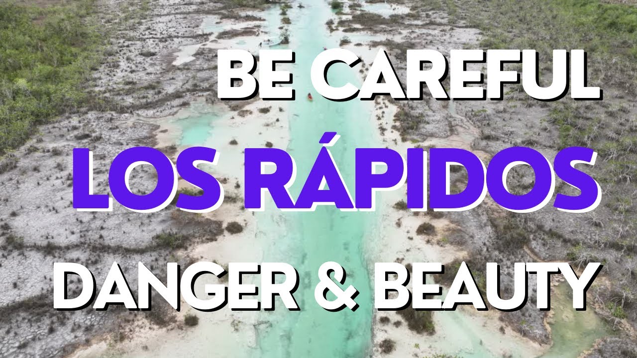 Los Rápidos: Bacalar's Natural Wonder | Safety Tips & Environmental Awareness
