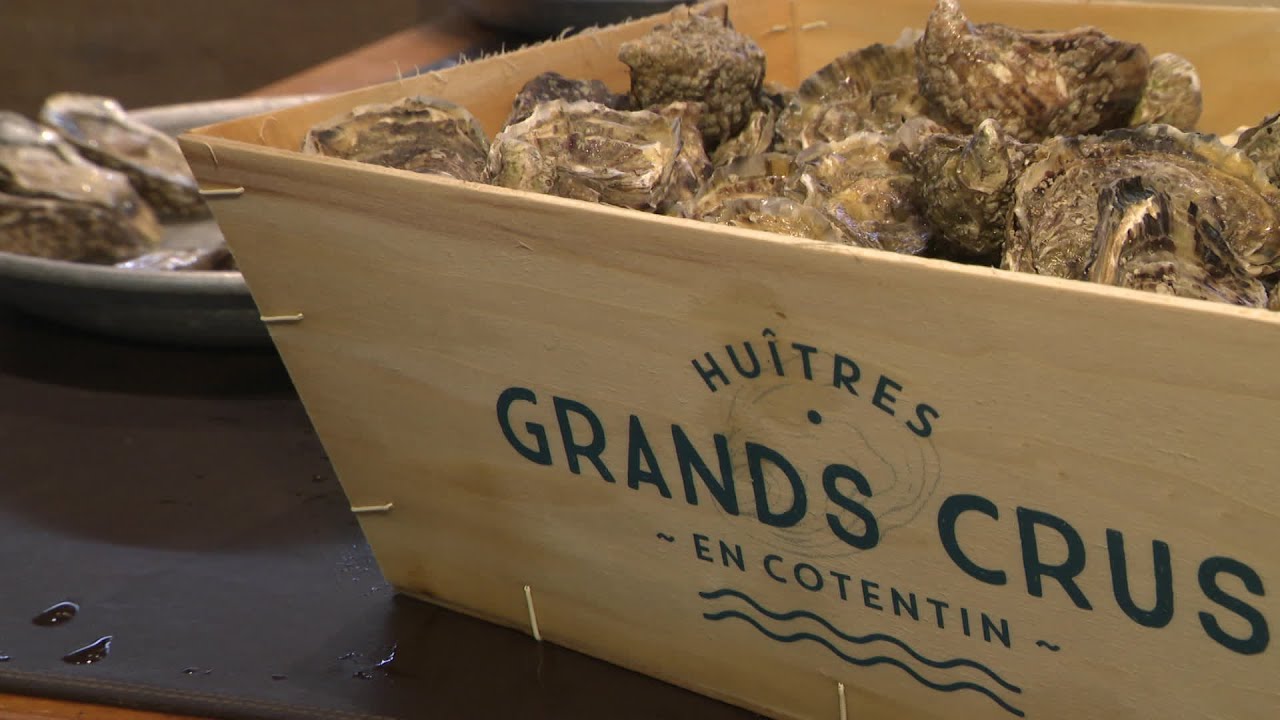 Hu&icirc;tres de Normandie : 4 grands crus.