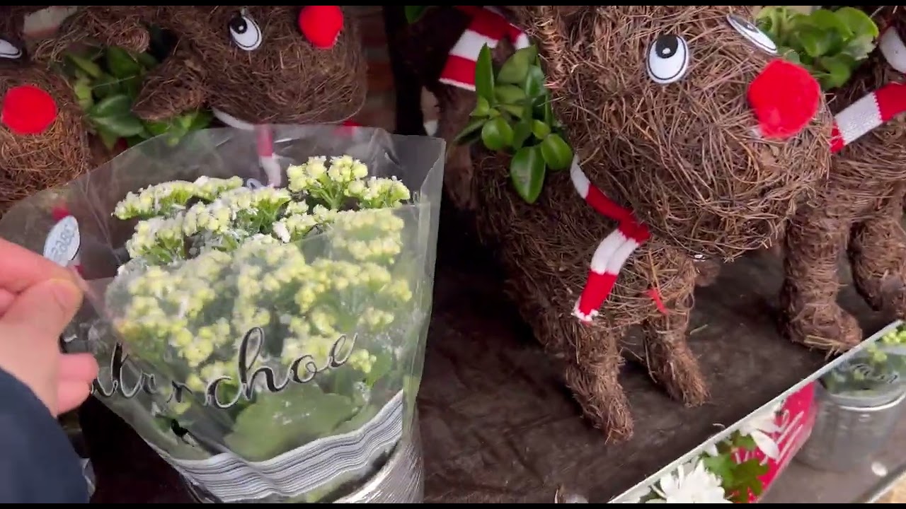 Vamos al gym + lidl y action+ aliño de carne picada con verduras riquísimo