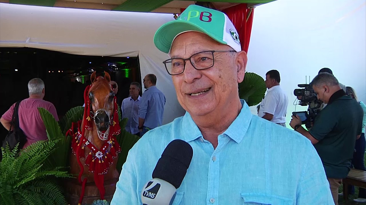 Leilão Haras Engenho 2019