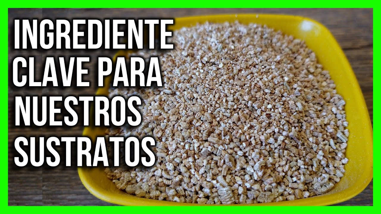QUE ES LA VERMICULITA Y COMO SE USA??? un ingrediente ideal para todos nuestros cultivos en maceta