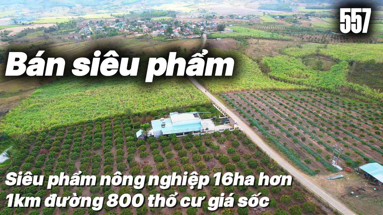 Bán siêu phẩm nông nghiệp 16ha hơn 1km đường 800 thổ cư giá sốc