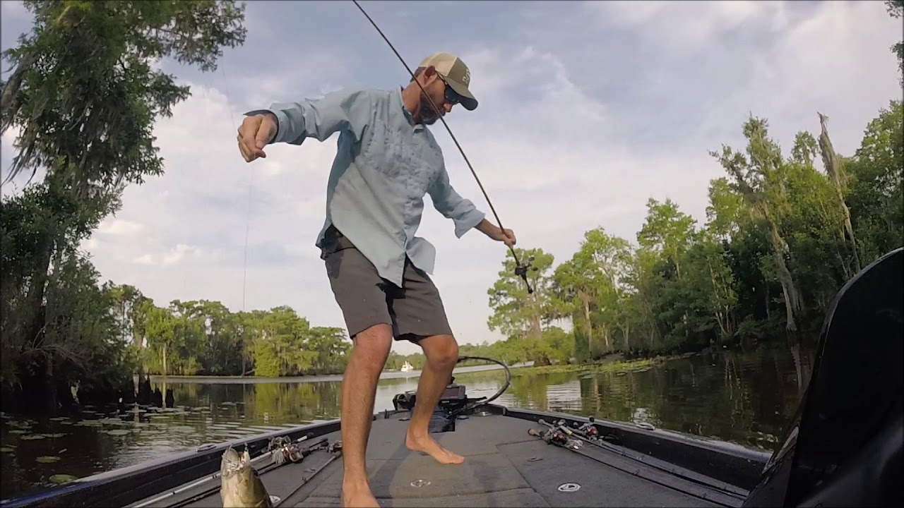 CB Bassin Defunky Tournament/Fish Care