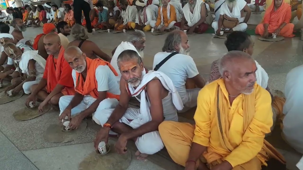 वृंदावन के दिव्य संतों का दर्शन करे #cow #bhajanmarg #vrindavan  devraha baba ashram vrindavan