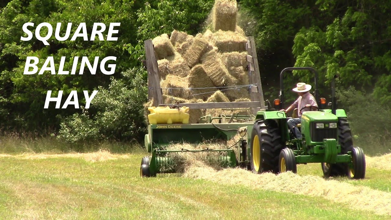 Square Baling Hay 2023 - Long Play - John Deere 5055D, JD 348 Baler w/ #42 Ejector & Kicker Wagons