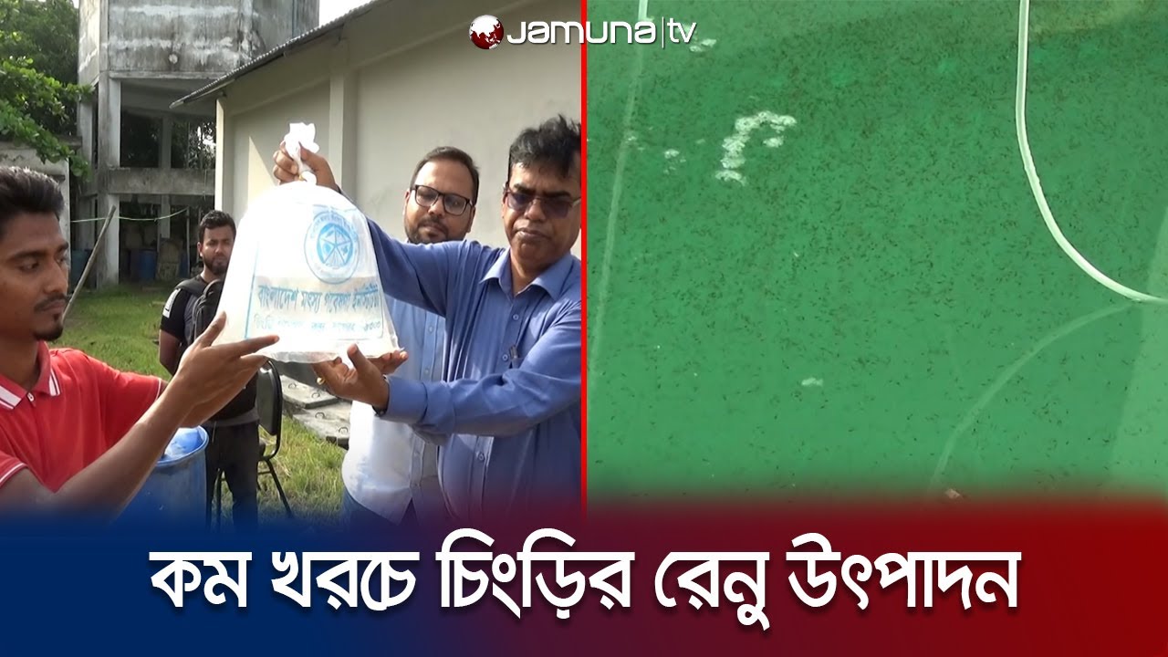 বাগেরহাটে চিংড়ির রেনু উৎপাদনে সফলতা; চাহিদা মিটবে শতভাগ | Bagerhat shirmp production