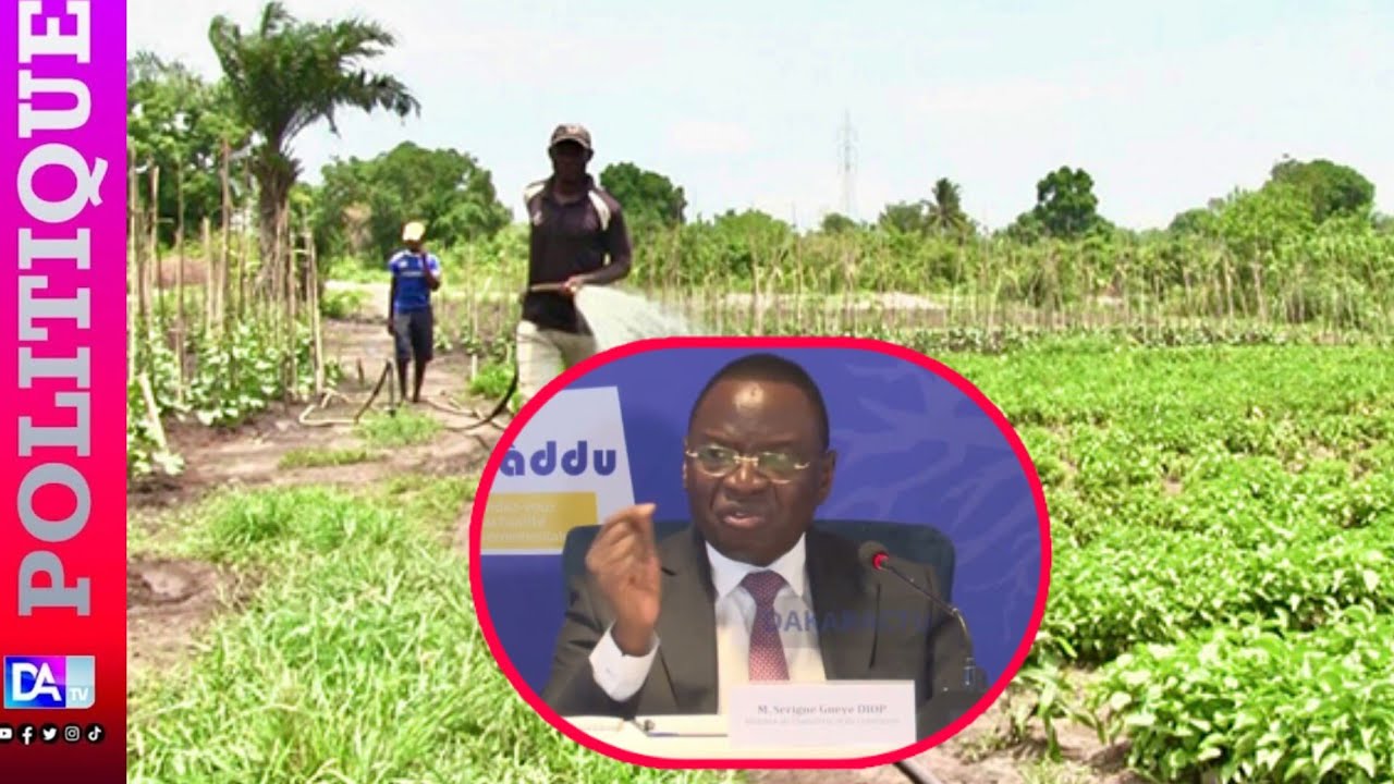 Serigne Diop sur la souveraineté alimentaire…: « Nous sommes sur la bonne voie… »