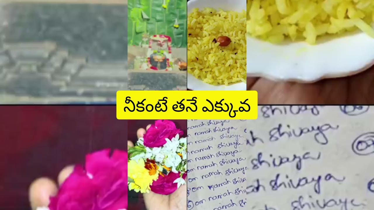గోరా అవమానం నీకంటే నాకు తను ముఖ్యం@telugureviews-x1p 