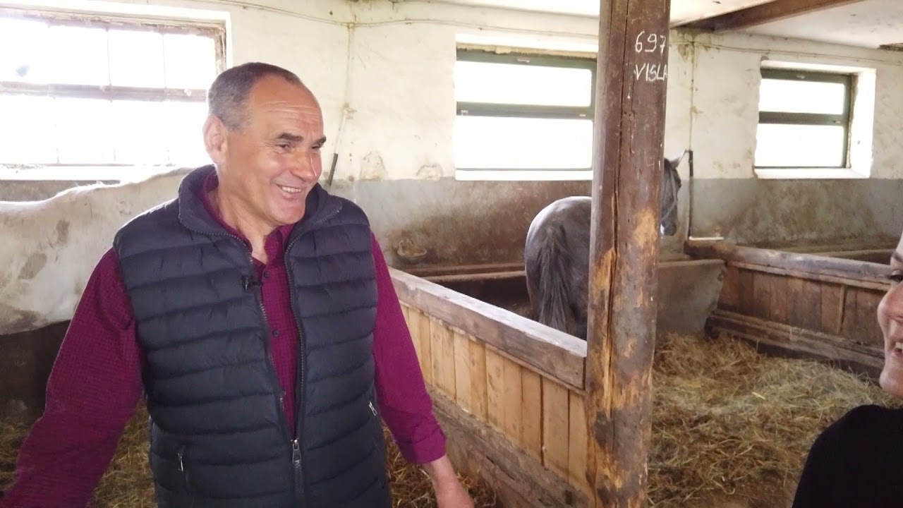 Posjetili smo ergelu lipicanera 