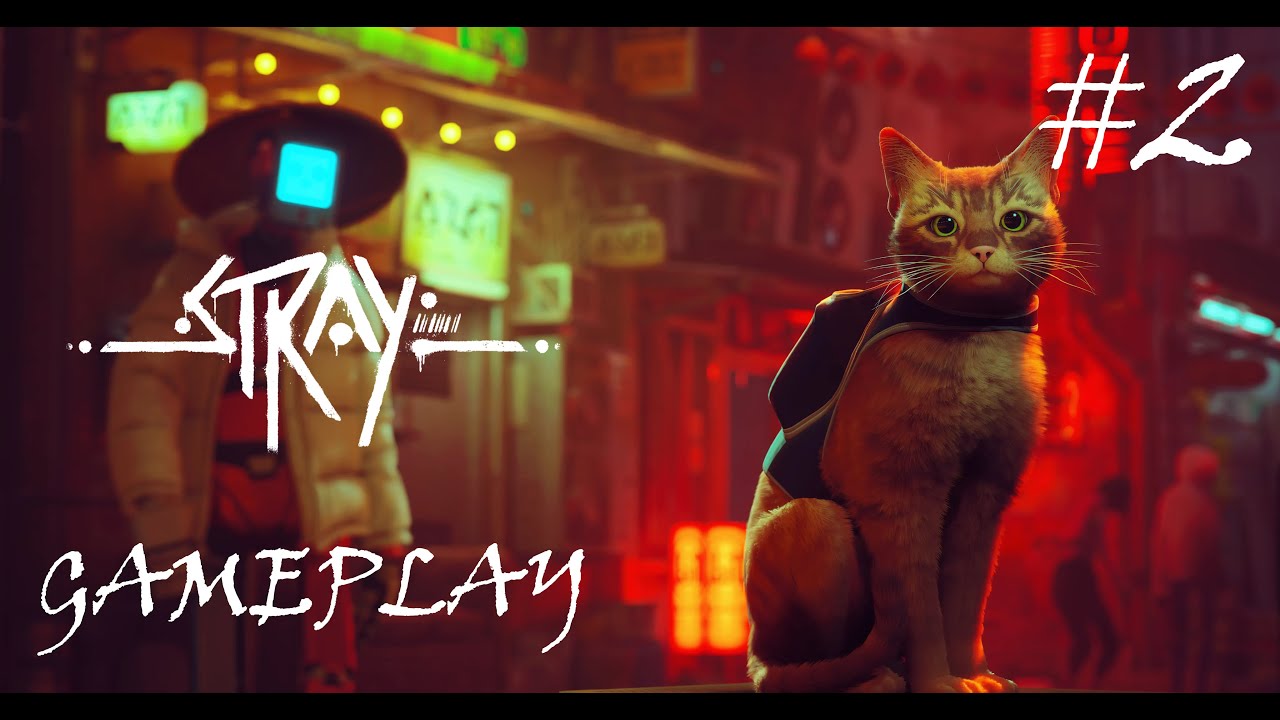 Live - Stray - story gameplay #2 + ENDGAME