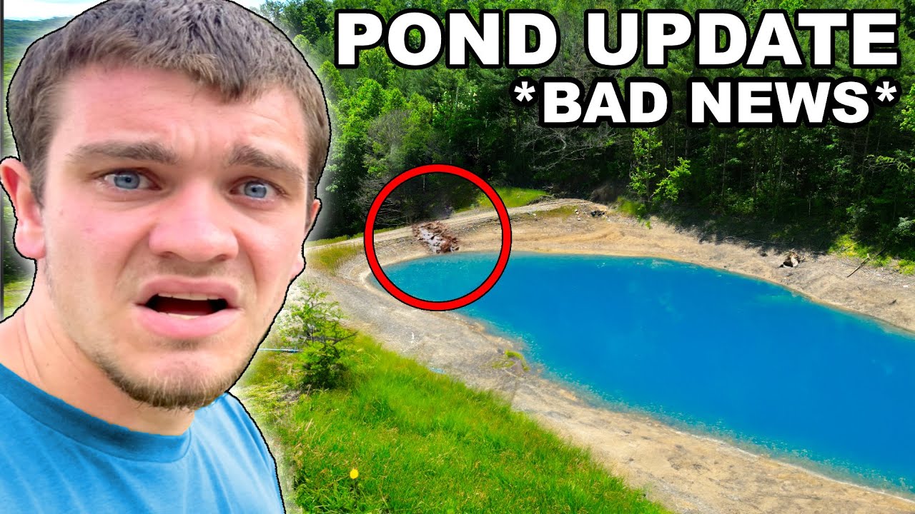 Pond Update - (we have some bad news)
